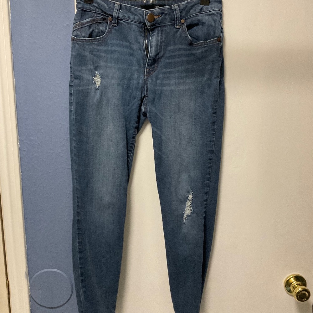 1822 Denim Berlin Low Rise Vintage Skinny Jean